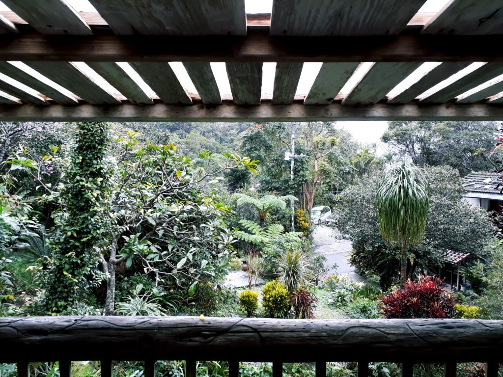 The view of an exotic tropical garden from over a wooden balcony.