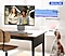 A scene of two women talking plays on a monitor. Audio bars for Dialogue and Background sound move in sync with the video. With AVA Pro OFF, the sound remains the same even when a dog makes barking noises. But with AVA Pro ON, the dialogue sound increases to deliver a better listening experience.
