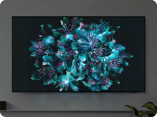 På et 2024 Samsung OLED TV ses et detaljeret billede af en blomst i præcise farver.