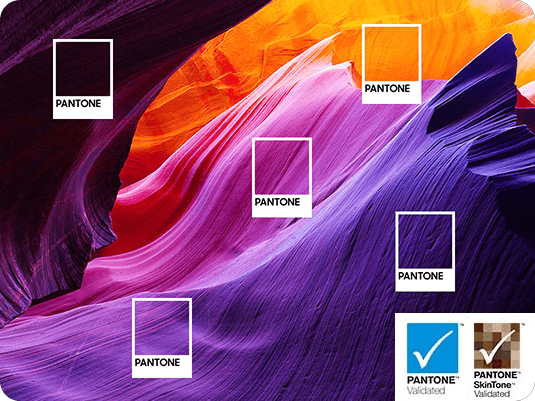 تعرض شاشة 2024 Samsung OLED عينات من ألوان Pantone في مشهد طبيعي ملون. وتظهر شعارات اعتماد Pantone وPantone SkinTone.