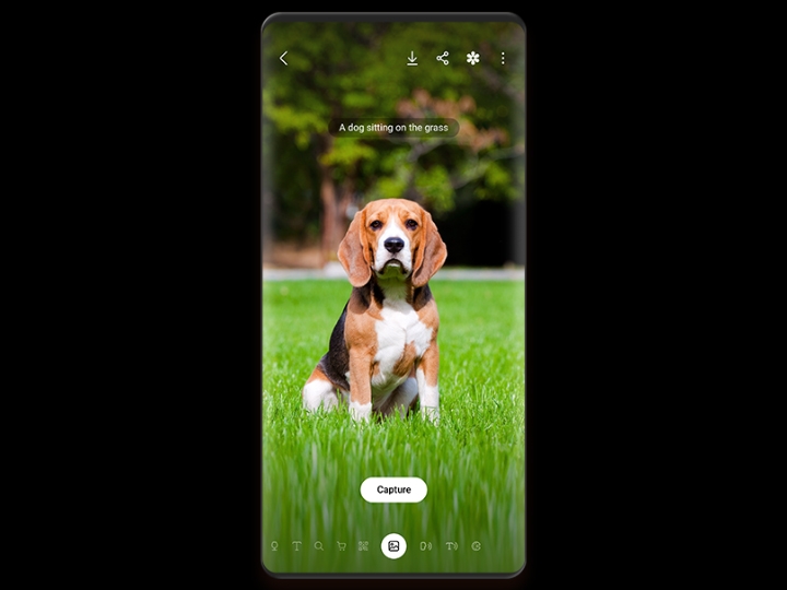 Bixby Vision 을 사용하여 강아지가 잔디에 앉아있는 이미지를 음성으로 읽어주고 있습니다.