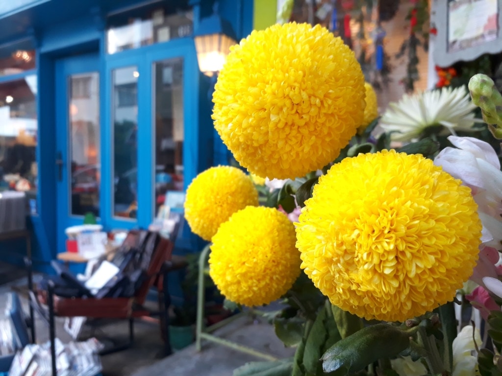 A colorful bouquet of Marigold flowers decorate the foreground outside a city storefront.