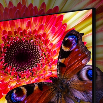 What is 8K TV and 8K resolution | Samsung Gulf