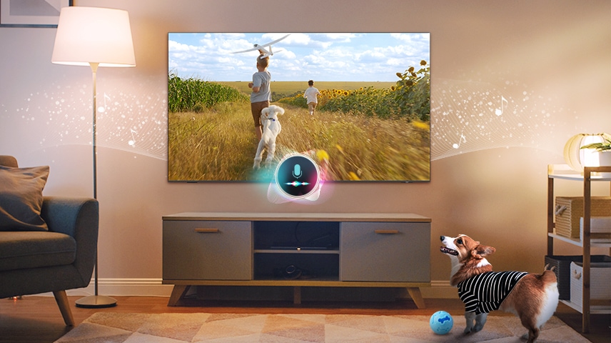 En hund gør i en stue. En mikrofon tilsluttet til TV'et registrerer støjen. Som reaktion på støjen, spiller TV'et en scene med to drenge og en hvalp, der løber langs en solsikkemark for at berolige den gøende hund.