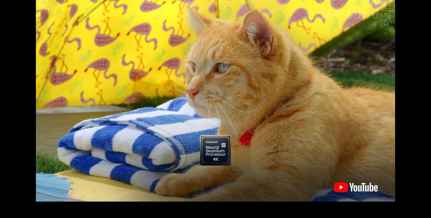 Thanks to the Samsung AI Neural Quantum Processor 4K chip in the 98 inch TV, a previously blurry cat sharpens into focus. Similarly, the chip clarifies a blurred astronaut scene, followed by an animation snippet featuring a deer and a man playing a guitar. The YouTube logo is on display in the bottom right-hand corner of the 98 inch TV.