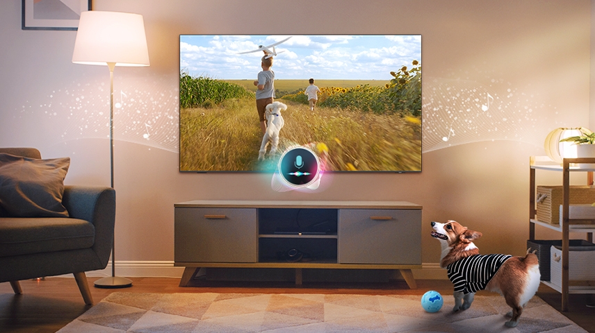 Il microfono collegato a un TV rileva la presenza di un cane. Il cane sembra felice quando il TV riproduce una scena pacifica con della musica di accompagnamento.