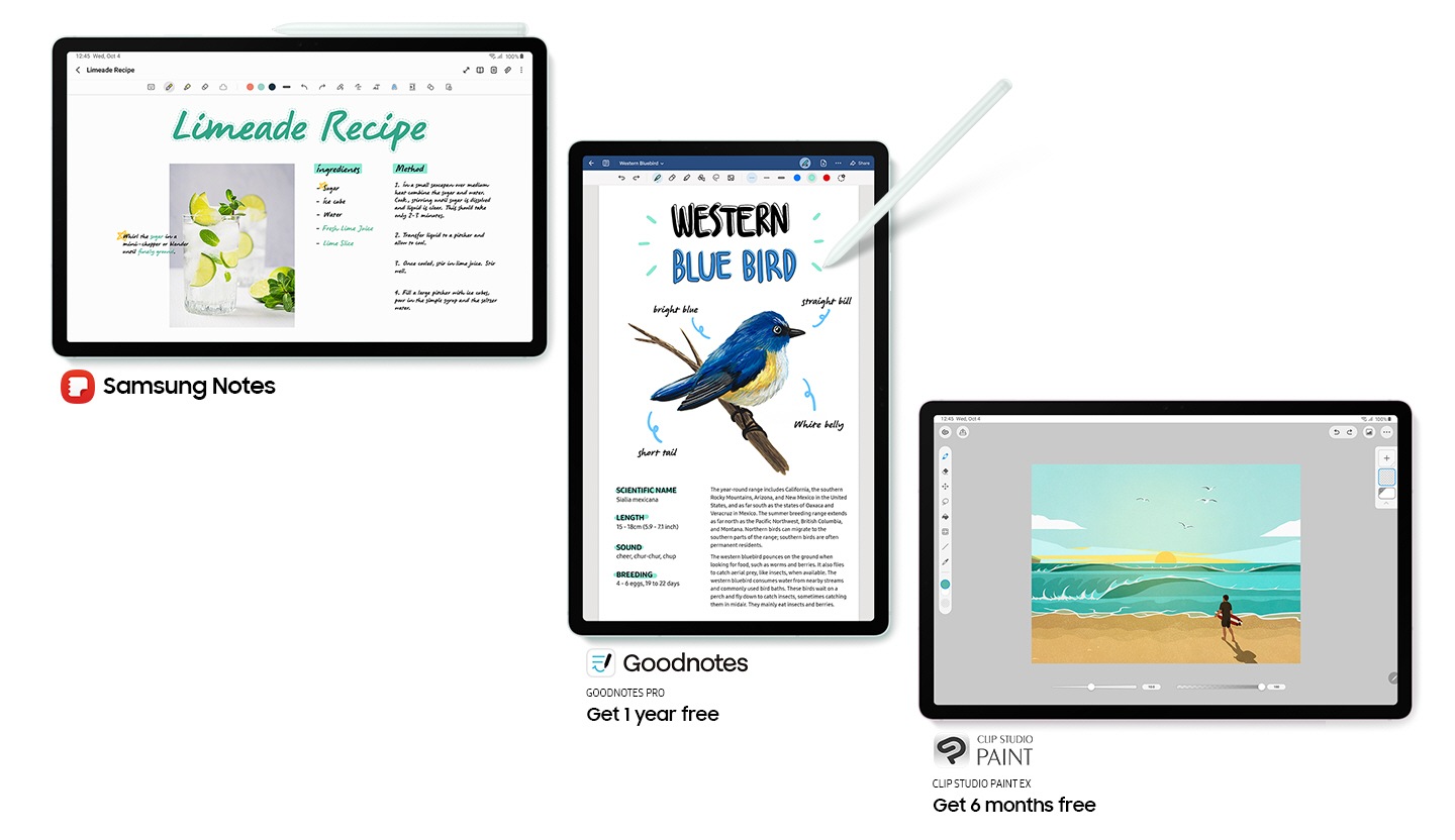 Dezvoltă-ți creativitatea, optimizată pentru ecranul mare