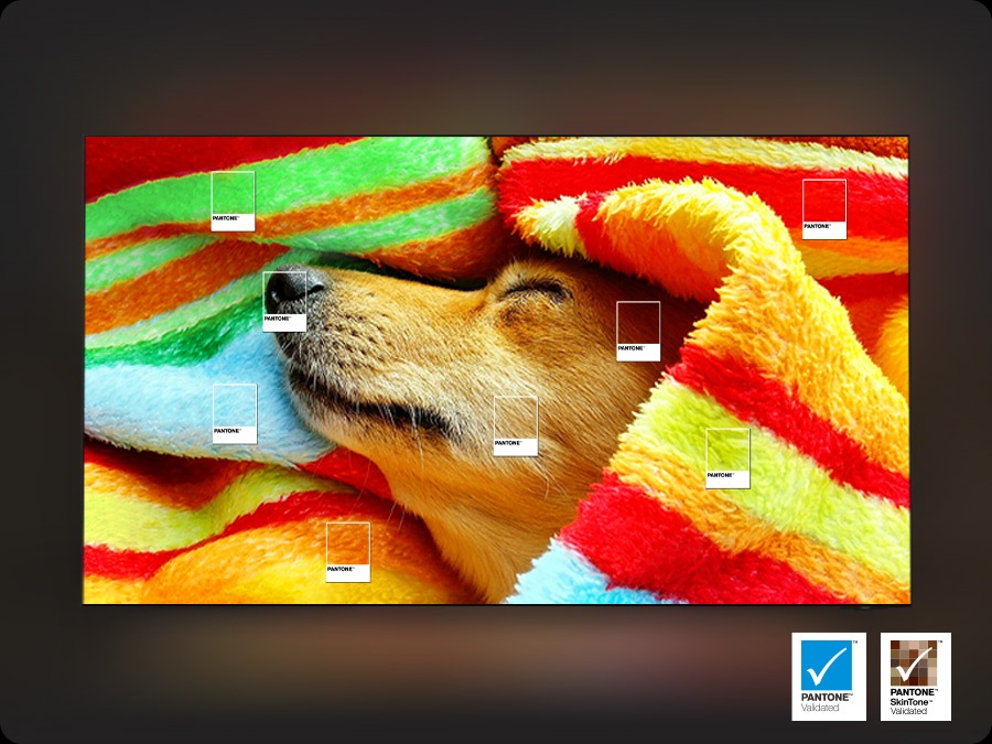 A dog wrapped around a colorful blanket is on display. PANTONE&trade; Validated logo. PANTONE SkinTone&trade; Validated logo.