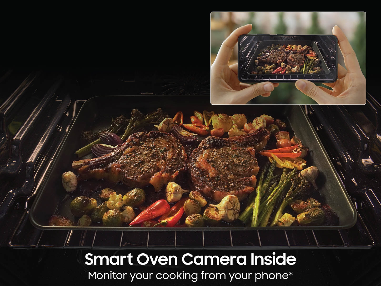 NE9100D Electric Range with Oven Camera Inside Stainless Steel